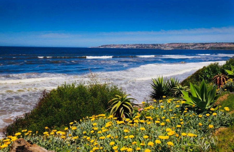 4 Bedroom Property for Sale in Bayview Western Cape